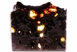 Seymchan Pallasite Meteorite Slice ( g) - Russia #382880-1